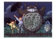 "高清无广告的龙猫网在线观看网址推荐"