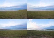 "在线观看高清青草视频：享受自然的宁静与美丽"