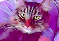 "浪漫冬日故事：雪白的爱，如冰凌花般纯洁与美好"