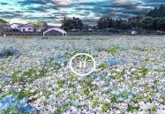 "1024草榴播放器：全新升级，提供稳定流畅的影音体验"