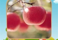 "水果视频下载app安装教程：一步步带你轻松安装使用"