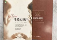 《温馨与挣扎：一部充满深度的伦理家庭小说》