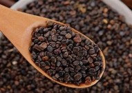 "全网首选：第一福利导航网站，优质资源一网打尽"